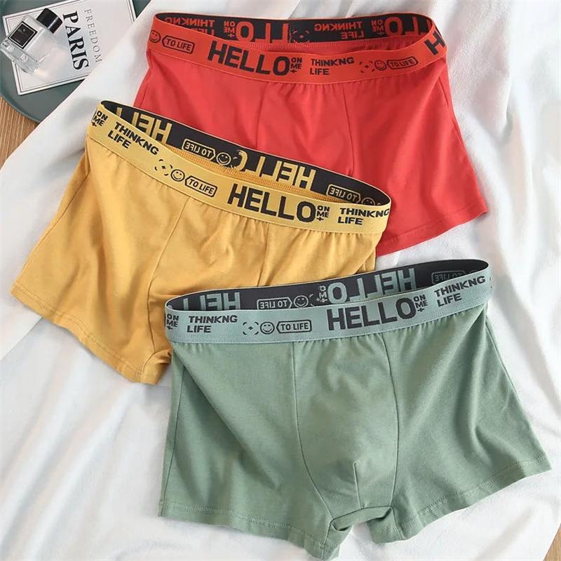 10 pièces/sous-vêtements pour  - Boxer Brief Pack Cotton avis et prix