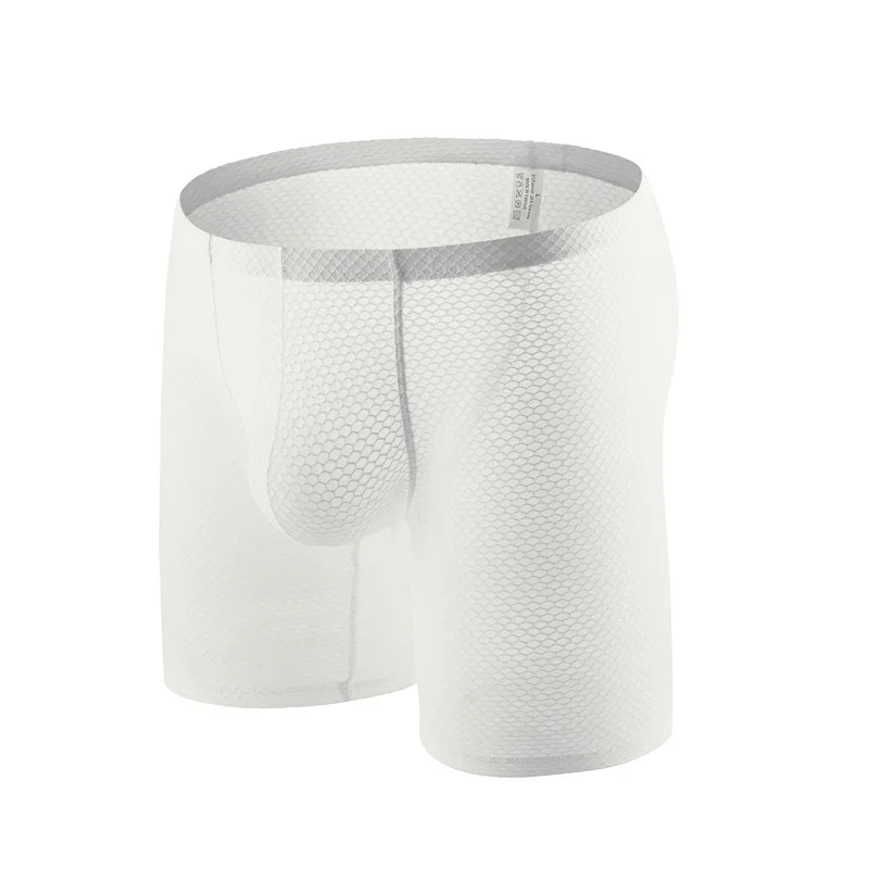Boxer transparent pour hommes, - Long Leg Trunk Men avis et prix